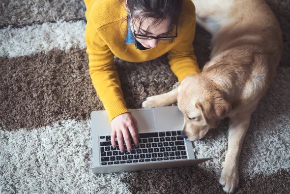 Girl and a dog with laptop